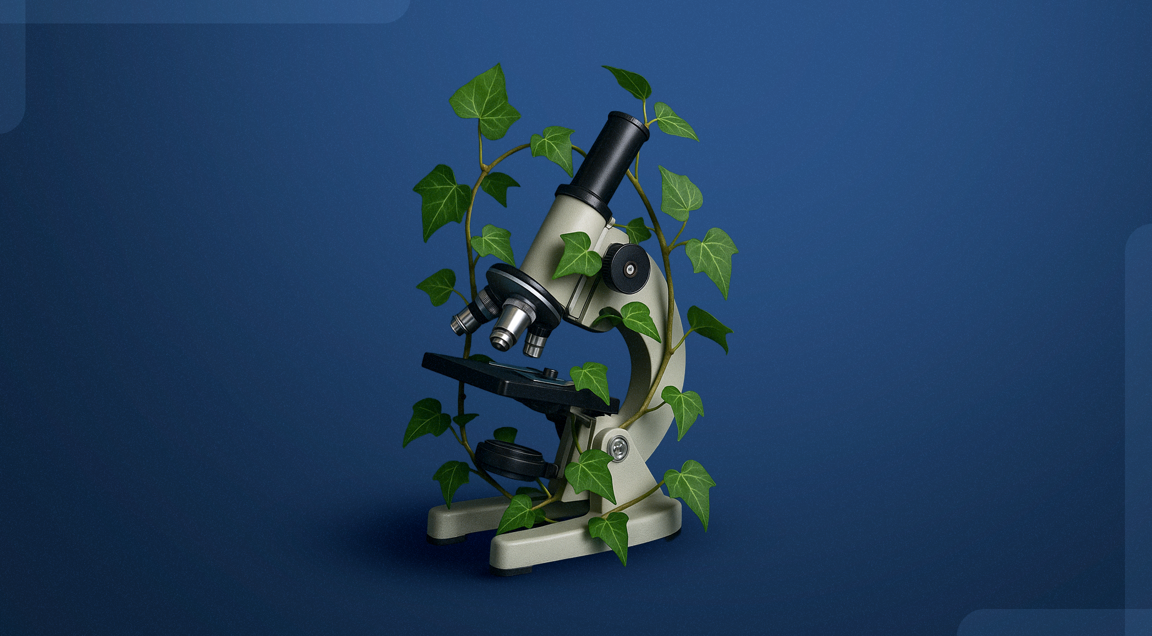 Bitkisel Kaynağın Bilimle Buluşması